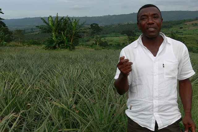 Blue Skies Chief Agronomist Ernest Abloh